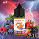 Dragon Salt Likit V2 Forest Berry Storm 30ml Dragon Salt Likit V2 Forest Berry Storm 30ml