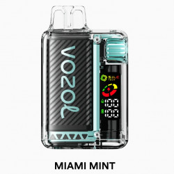 Vozol Vista 20000 Puff Bar %5 Nikotin Miami Mint