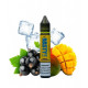 Nasty LİQ Serisi Mango BlackCurrant Premium Salt Likit 30ml